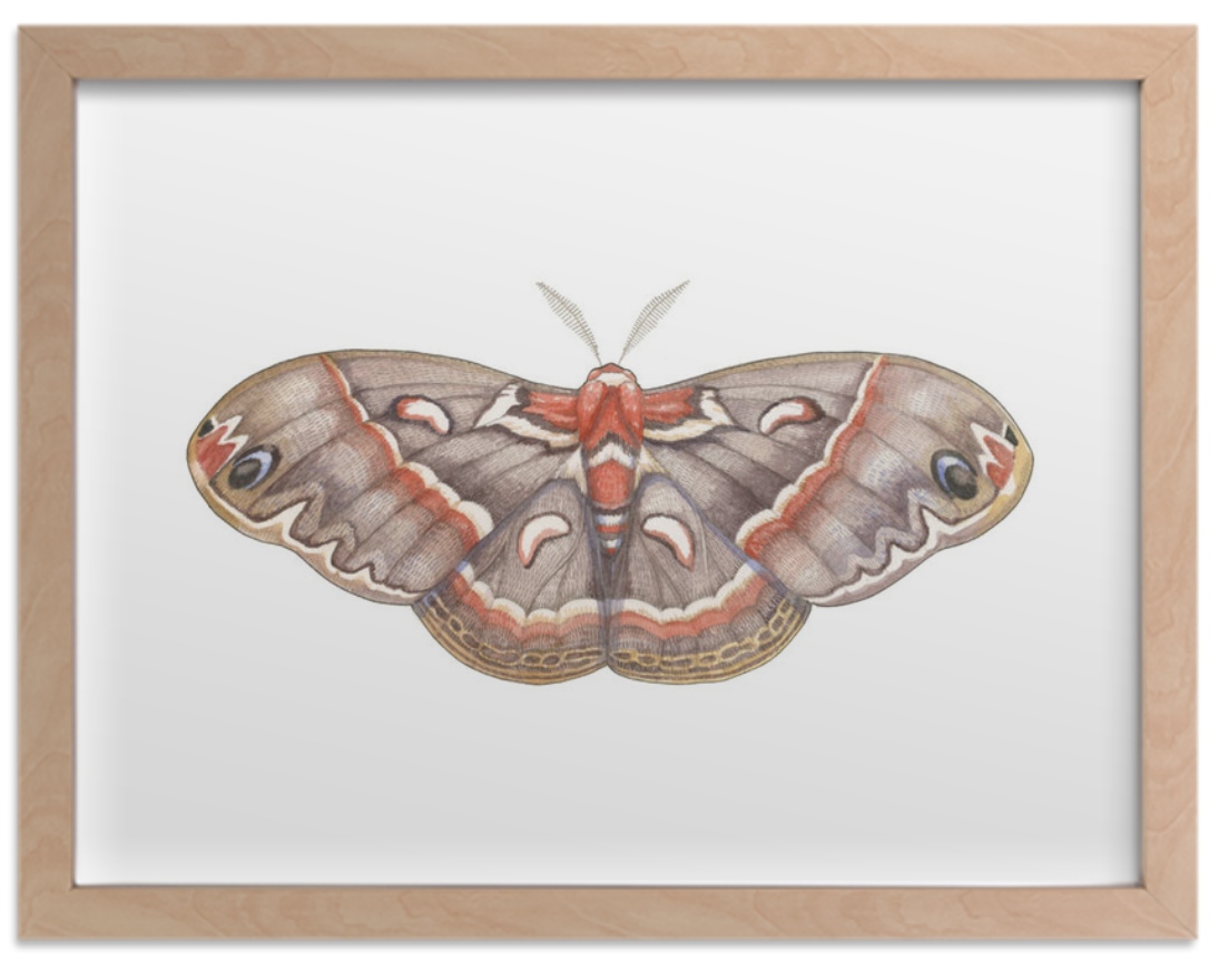Minted Limited Edition Art Prints // THE HIVE