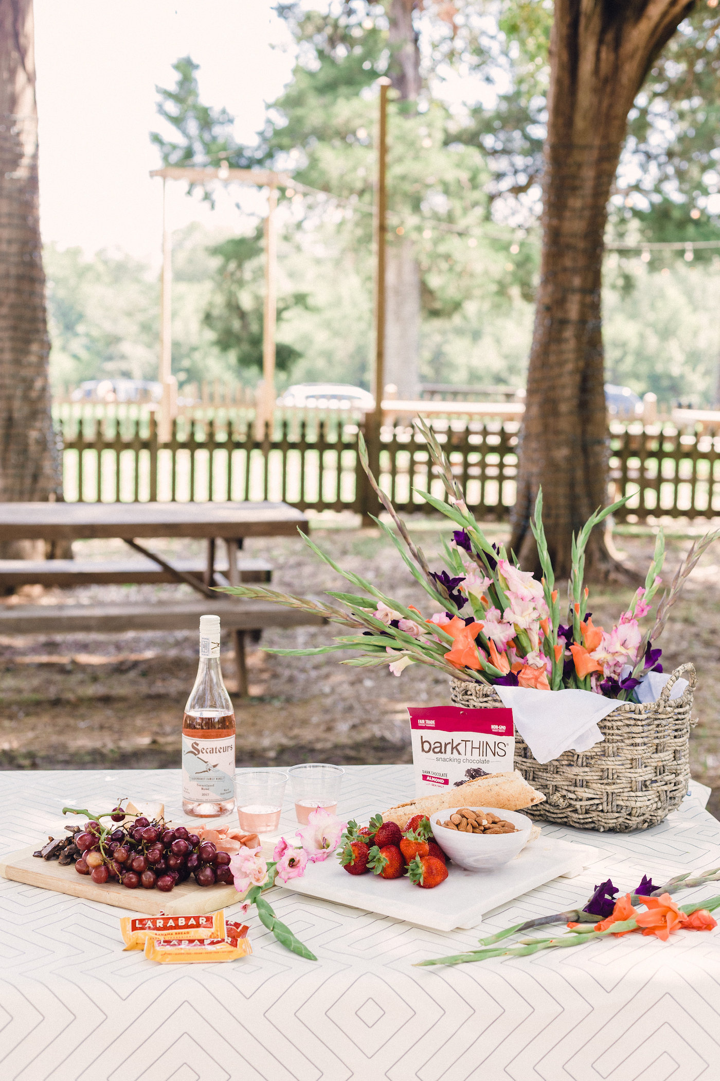 A Picnic styled around a beautiful bottle of South African Rosé // www.thehiveblog.com