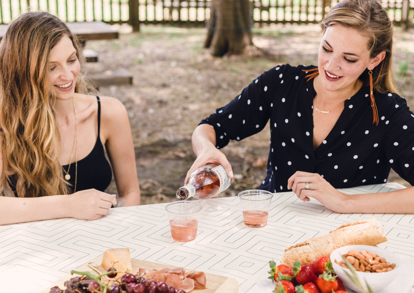 A Picnic styled around a beautiful bottle of South African Rosé // www.thehiveblog.com