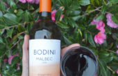 Twelve Dollar Bottle: Bodini Malbec // www.thehiveblog.com