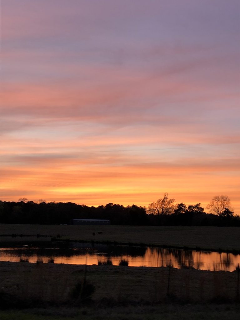 Breathtaking Madison, Mississippi sunset