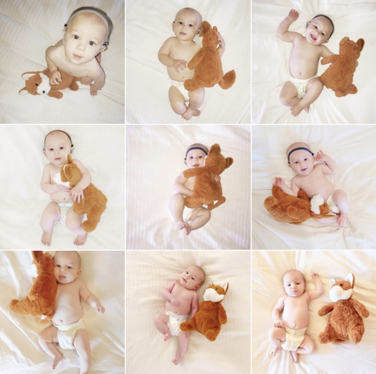Nine Months with Dempsey and the Fox :)