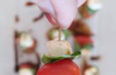 U.S. Farm-Raised Catfish Caprese Skewer appetizer recipe // SO EASY and absolutely delicious!